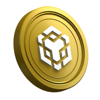 Criptomoneda BNB mostrada en la página de guía para trader principiante